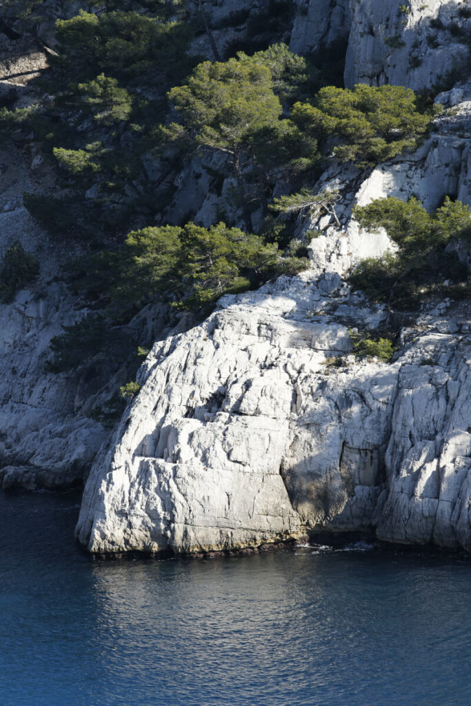 Falaise, Calanques (France)